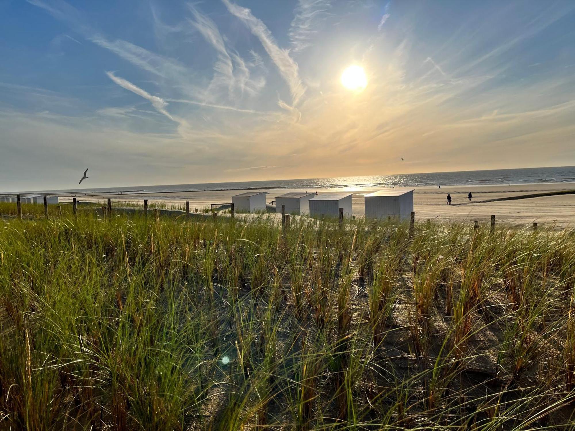 Vila Beach Bungalow Green Middelkerke Exteriér fotografie